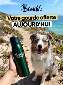 Campagne email French Bandit — gourde offerte, offre du jour