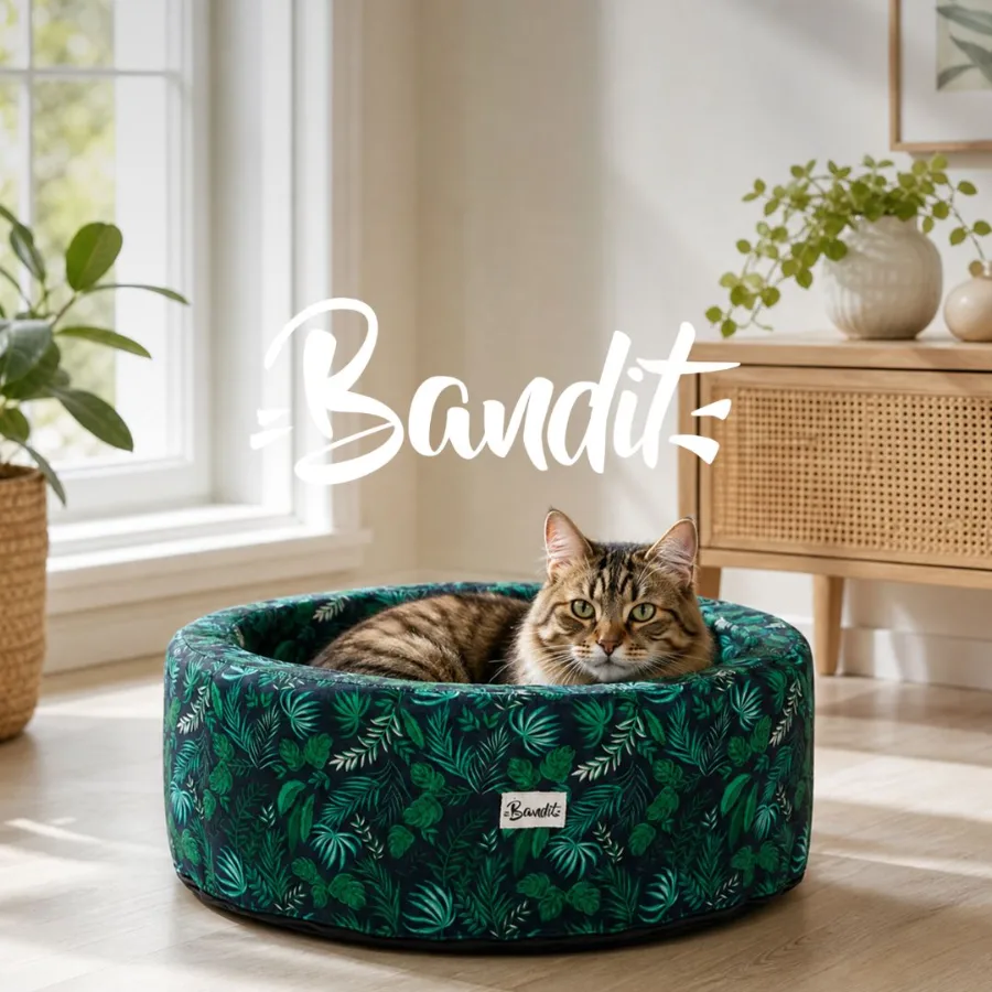 French Bandit — accessoires pour animaux
