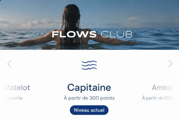 Statut VIP dans un programme de fidélité e-commerce